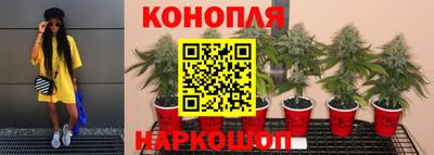 МДПВ Гай