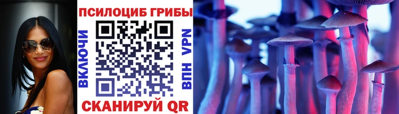 Псилоцибиновые грибы Psilocybine cubensis  Краснокамск 